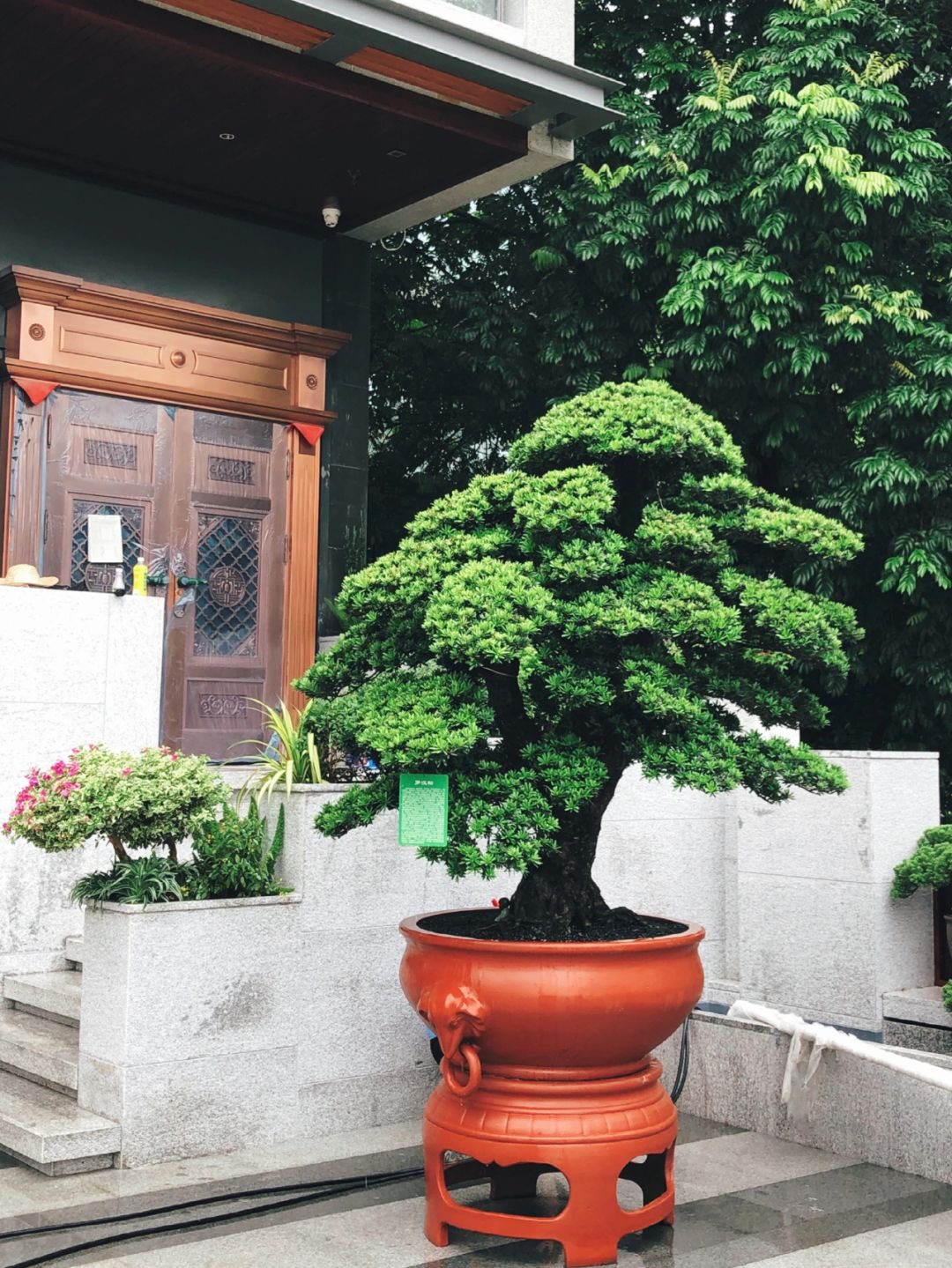 https://static.ixuenong.com/pxn/uploads/prod/thirdfile/2025/01/af83c5d38f3187a7e421f53a3e5a2bcf.jpg