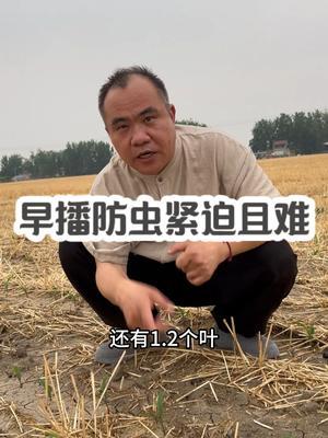粥 #ũݪֲ #ũҵƹ
