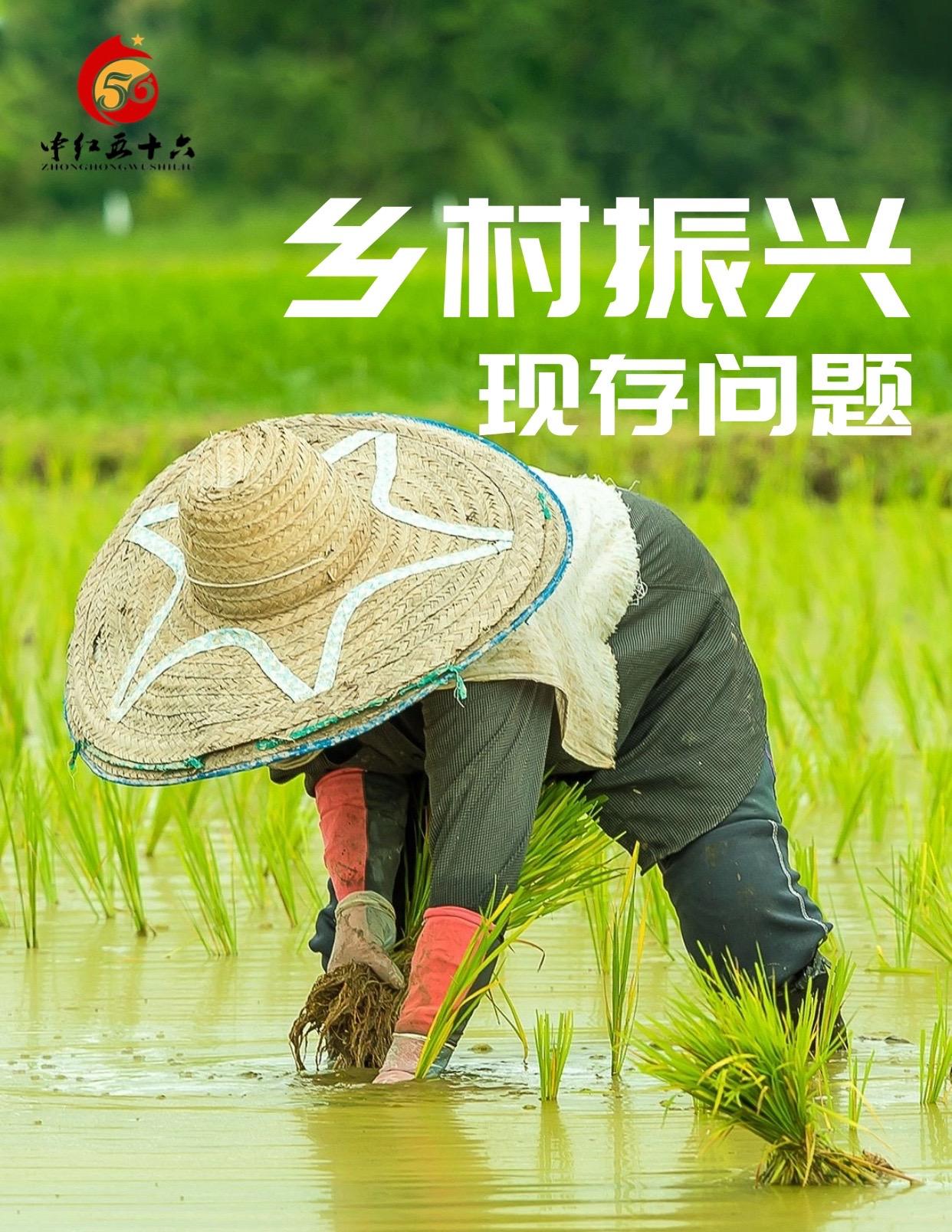 https://static.ixuenong.com/pxn/uploads/prod/thirdfile/2025/01/ba97f3fc77a37ffb4c0e9dcaa0cdd9cd.jpg