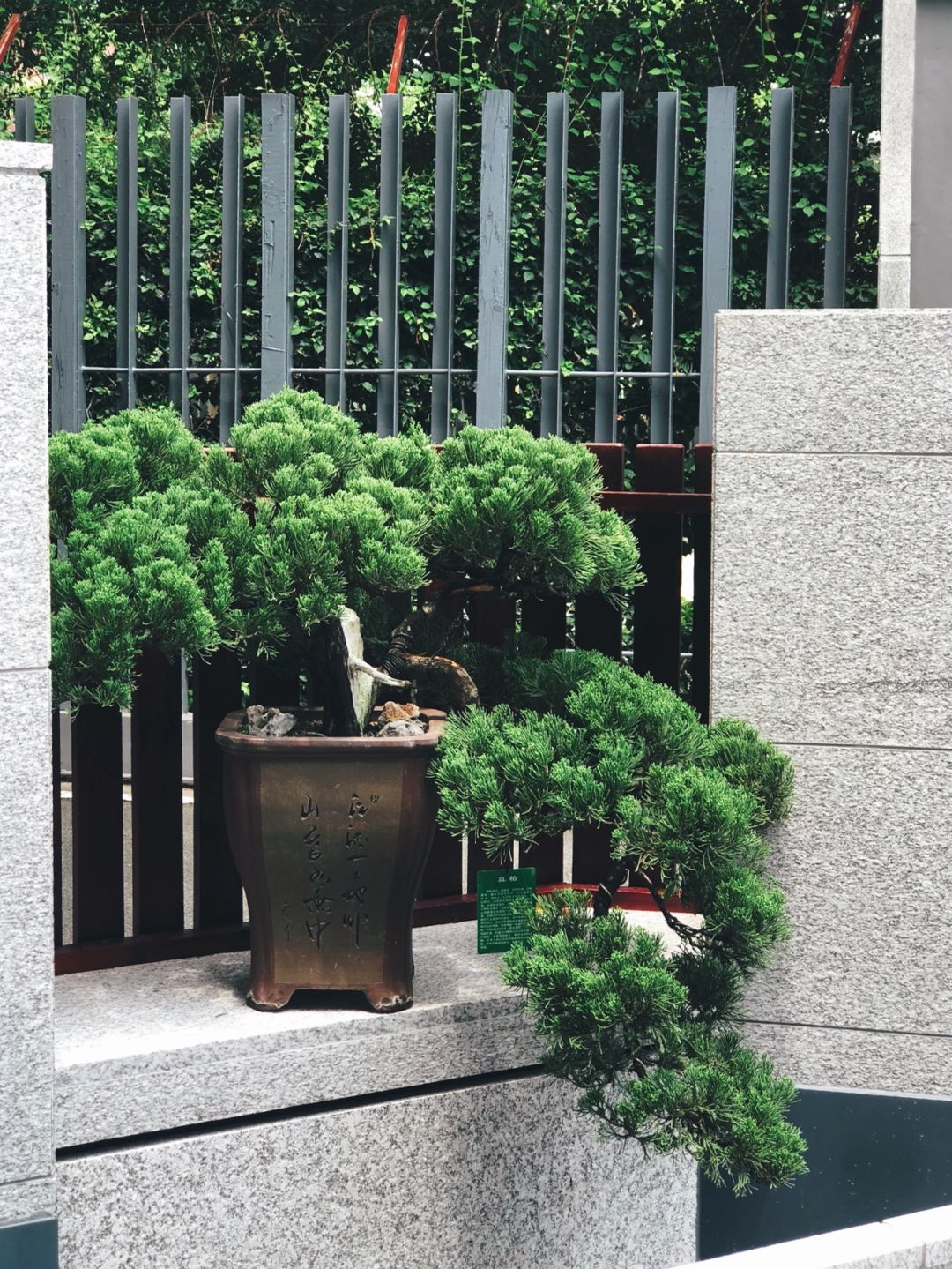 https://static.ixuenong.com/pxn/uploads/prod/thirdfile/2025/01/bbf07e15efae683907a24f3aac26798b.jpg