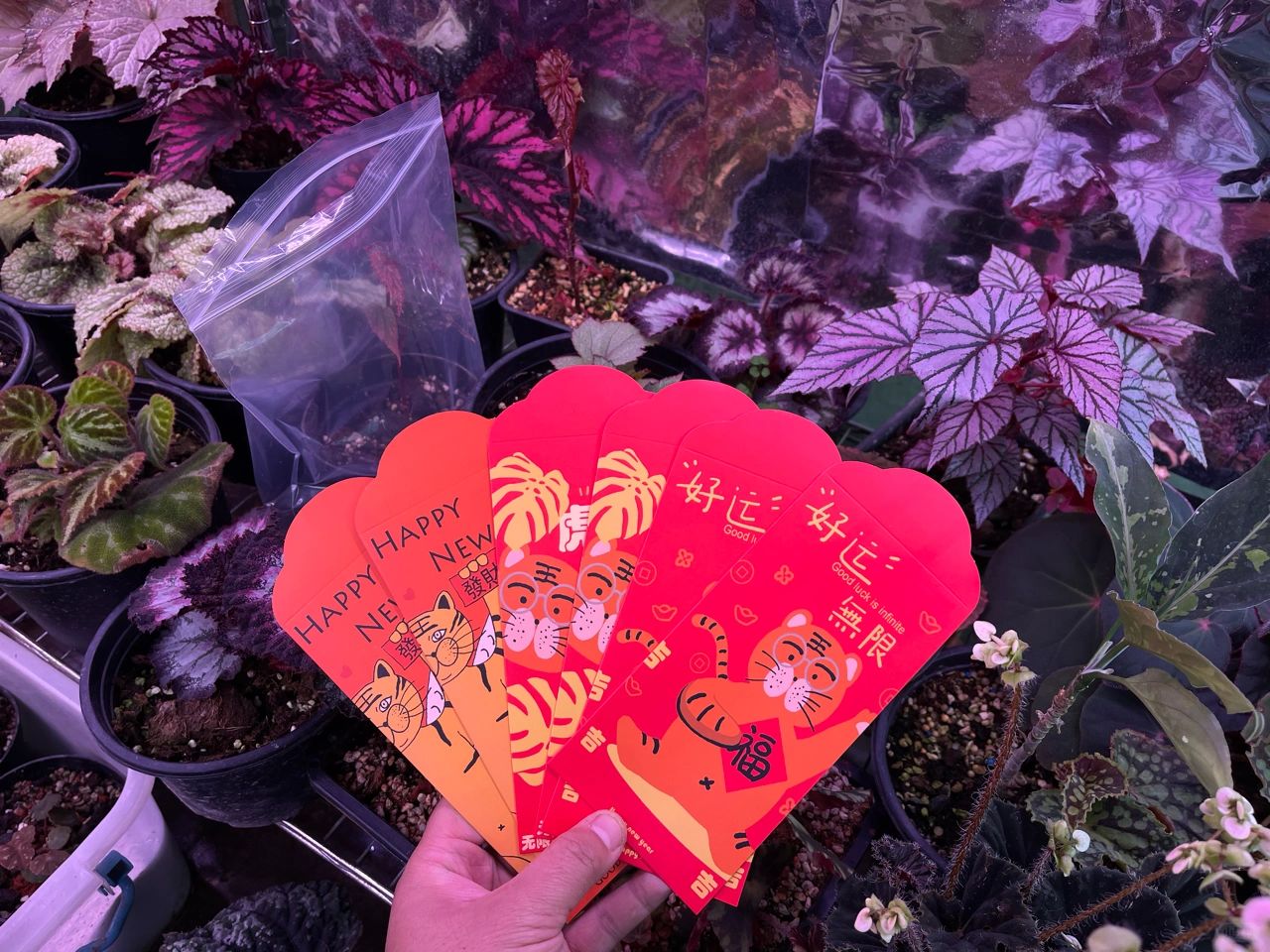 https://static.ixuenong.com/pxn/uploads/prod/thirdfile/2025/01/c078b8b417a8be67eb92717009984f43.jpg