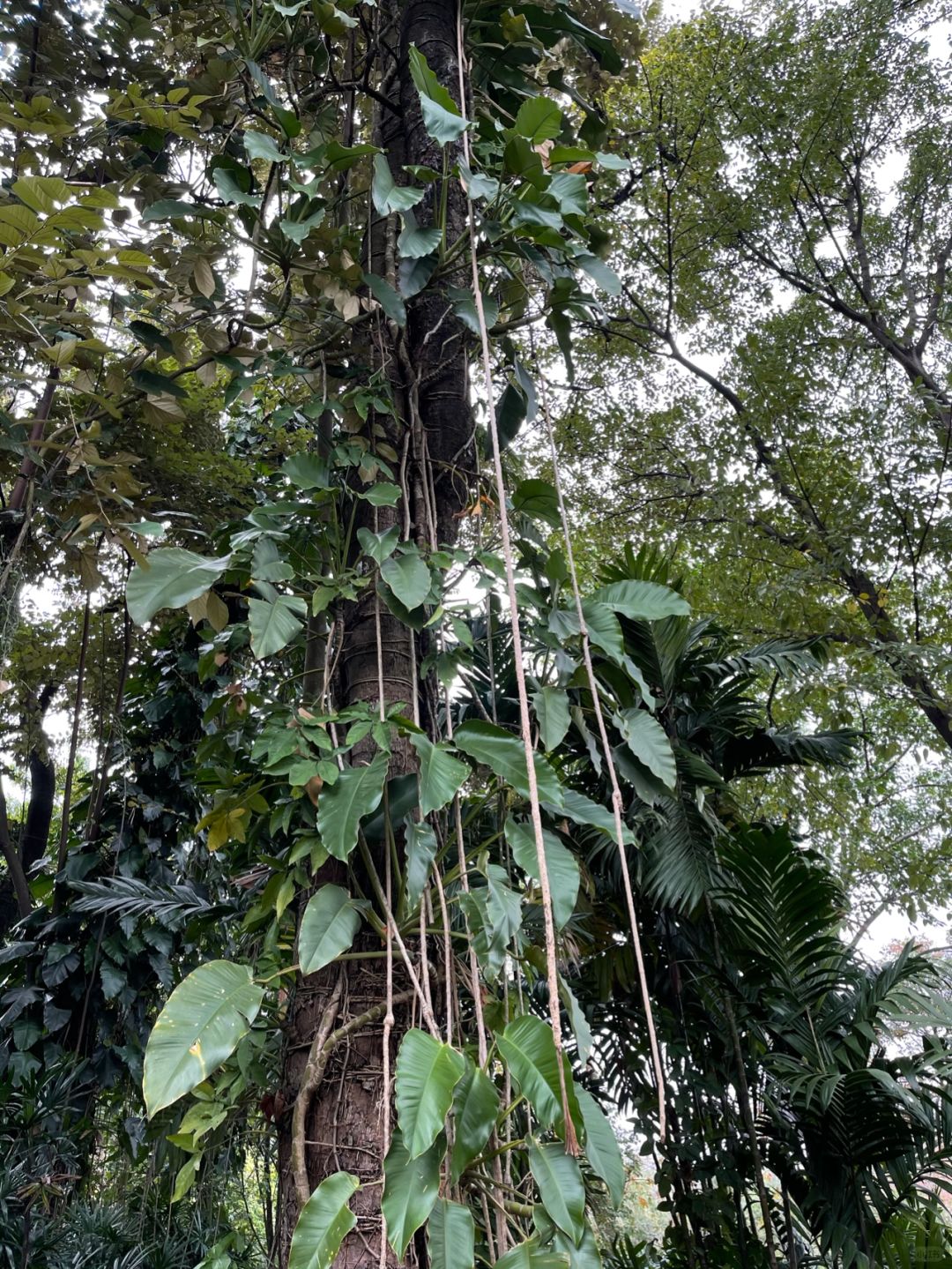 https://static.ixuenong.com/pxn/uploads/prod/thirdfile/2025/01/cc2d5c005fc26b2b34eaf7179ea68ce6.jpg