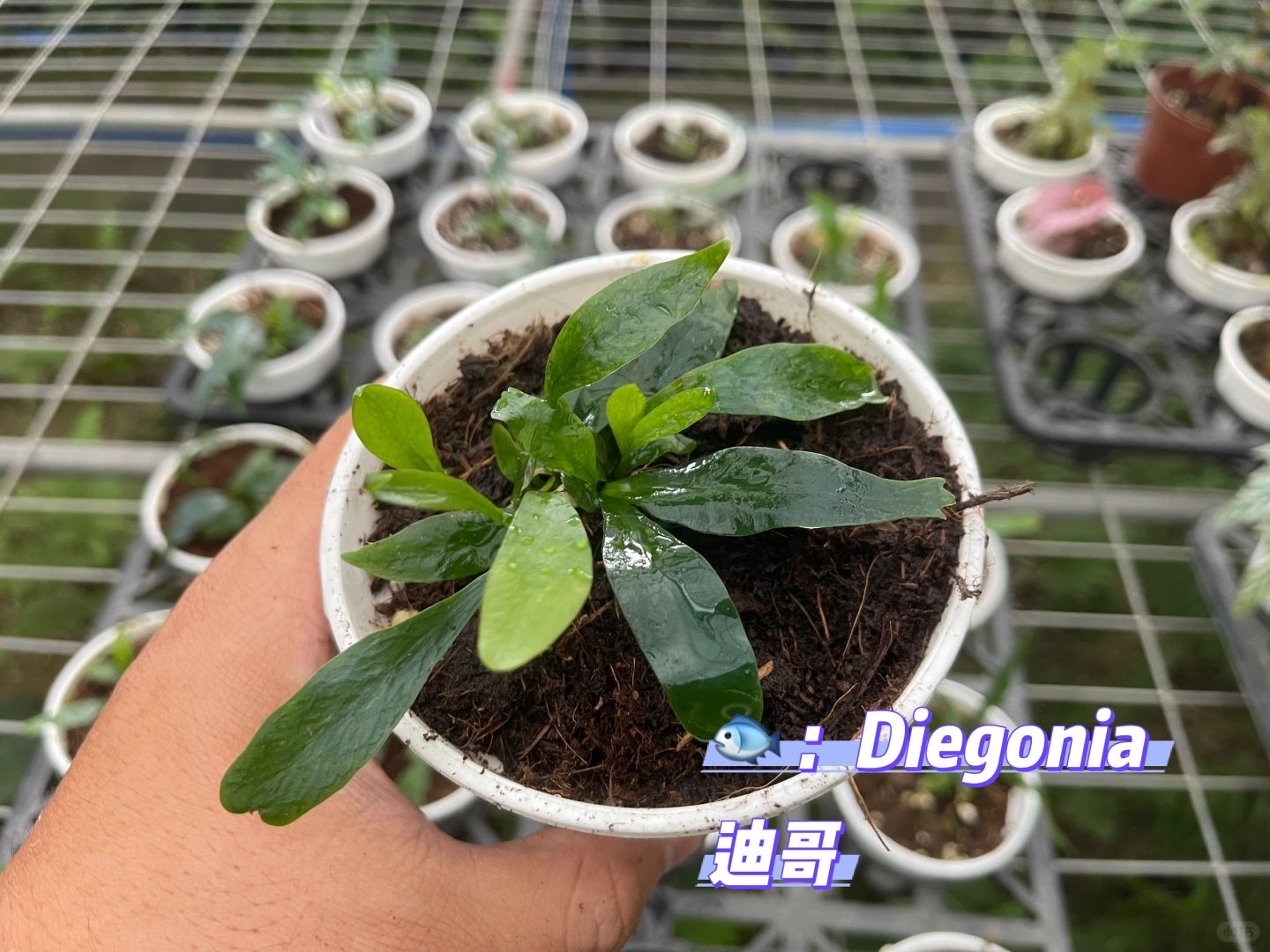 https://static.ixuenong.com/pxn/uploads/prod/thirdfile/2025/01/d38fd7f6c387cf0079bce713cadee7f1.jpg