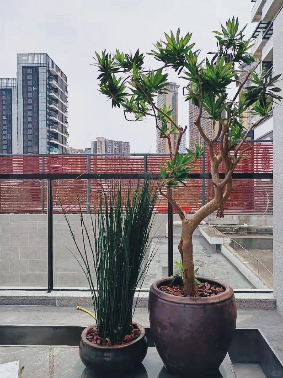 https://static.ixuenong.com/pxn/uploads/prod/thirdfile/2025/01/d53dd9117ebe7ee3cabd442fac07bad2.jpg