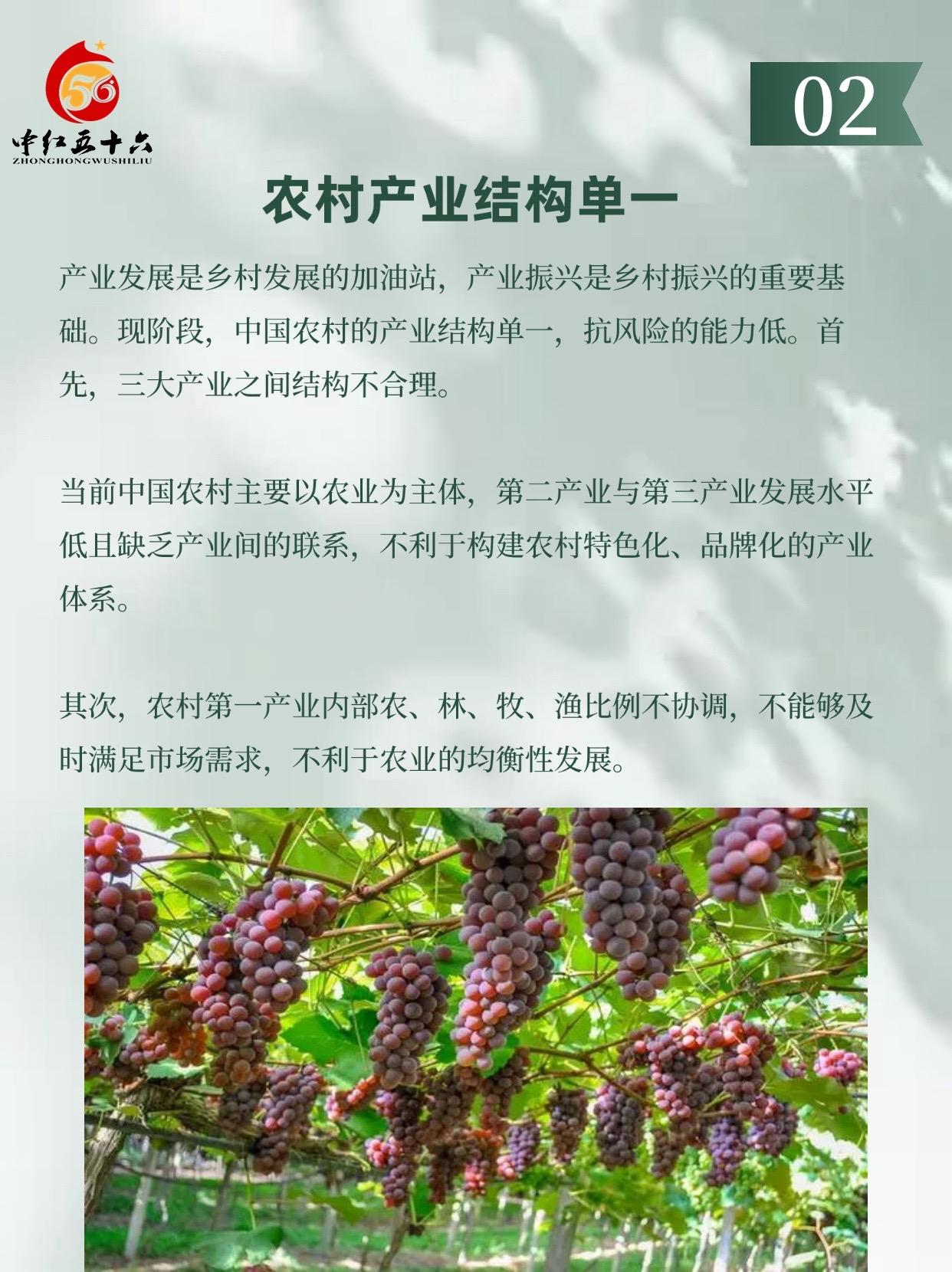 https://static.ixuenong.com/pxn/uploads/prod/thirdfile/2025/01/d548d825e1dbc4b4c151e510d482de42.jpg