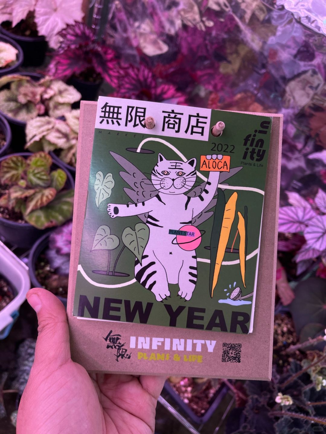 https://static.ixuenong.com/pxn/uploads/prod/thirdfile/2025/01/d710283eeb3fedb633eb32f944c15de1.jpg