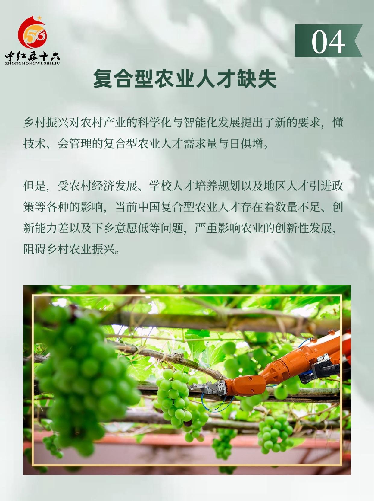 https://static.ixuenong.com/pxn/uploads/prod/thirdfile/2025/01/dc9e067179b2cf20da5f61318a758b6e.jpg