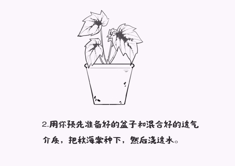 https://static.ixuenong.com/pxn/uploads/prod/thirdfile/2025/01/e2b5dd598a69b9c635ff0099dc364fff.jpg