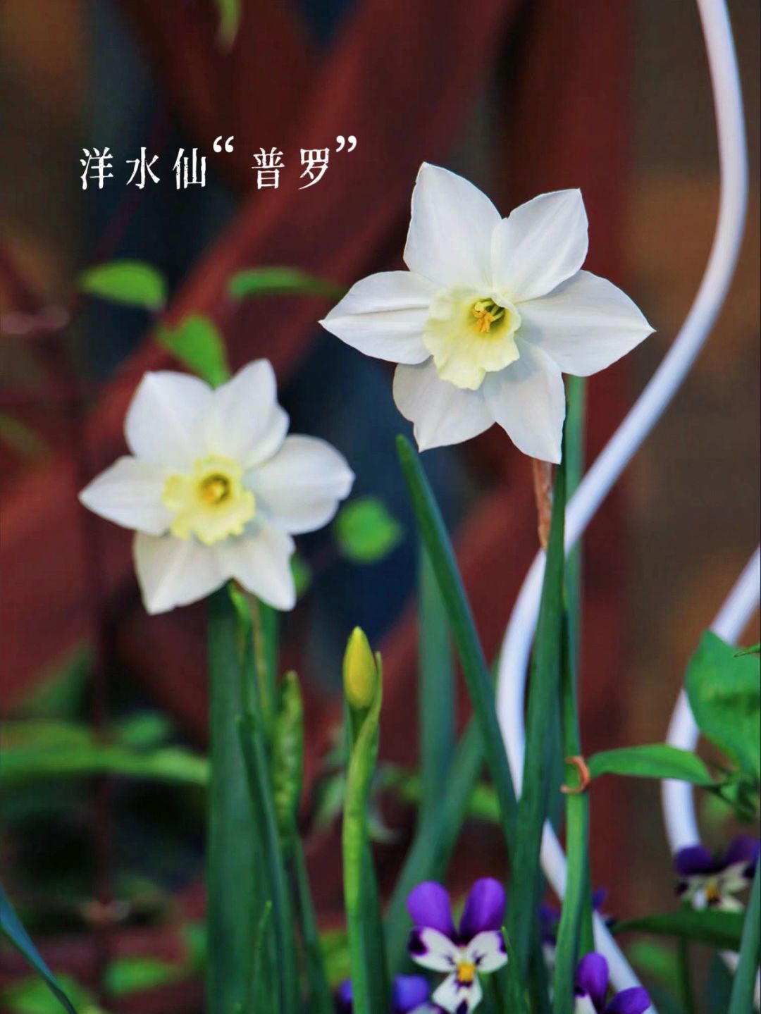 https://static.ixuenong.com/pxn/uploads/prod/thirdfile/2025/01/e6b31f4bc13357a1e246313a331936d3.jpg