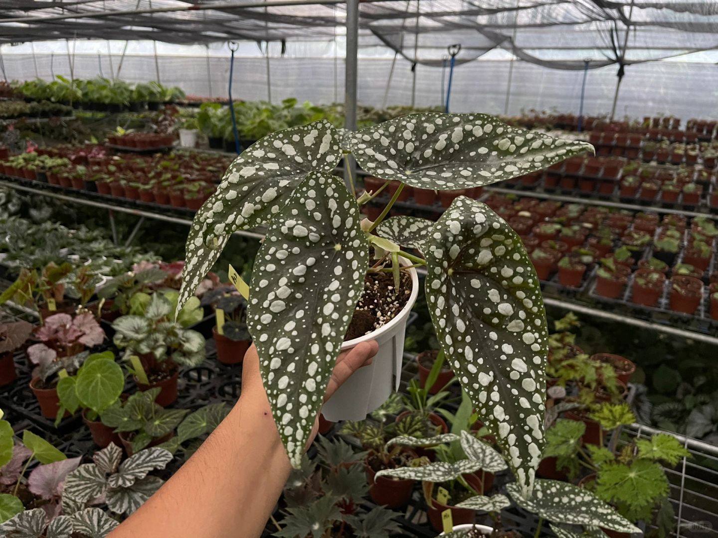 https://static.ixuenong.com/pxn/uploads/prod/thirdfile/2025/01/ea9e3cb7aa52edcb66bb2b33fac9a210.jpg