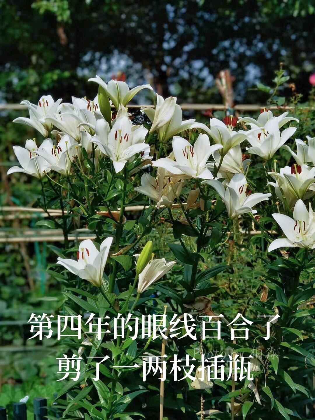 https://static.ixuenong.com/pxn/uploads/prod/thirdfile/2025/01/f712ad4dd8d40b3e875ba2f7d5bbe870.jpg