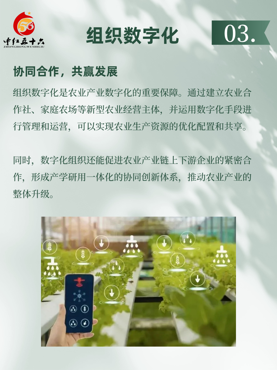 https://static.ixuenong.com/pxn/uploads/prod/thirdfile/2025/02/0cf84a1654367af7efc6f423a91a9a42.jpg
