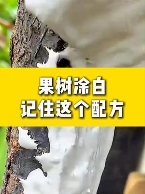 Ϳ䷽ #ݪֲС #ݪֲ # #ũҵ