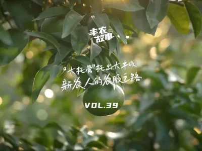 农业托管撑起“大丰收” 他每年都奔忙于天下各地，资助各地果园解决问题，今天我们走进大丰收的农场服务先生，看看爆发在中领土地上的#丰农故事  #墟落振兴  #农业手艺指南 #新农人妄想2023