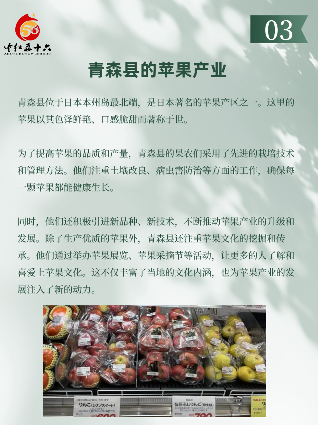 https://static.ixuenong.com/pxn/uploads/prod/thirdfile/2025/02/1f17e4fb2b8028ccb1c3554fc3073ab2.jpg