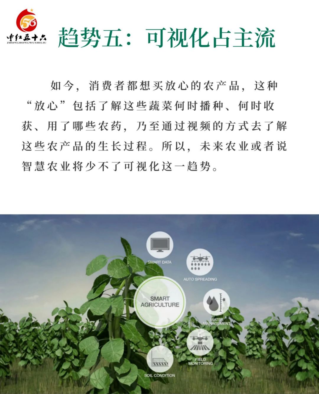 https://static.ixuenong.com/pxn/uploads/prod/thirdfile/2025/02/25b4935853609875571650397634abec.jpg