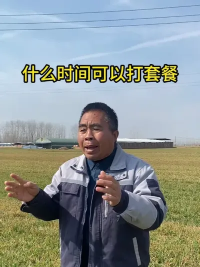 什么时间可以打套餐 #小麦 #三农 #服务三农 #农技知识分享 #一起学习