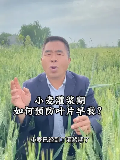 СཬԤҶƬ˥#Сݪֲ #ũҵ֪ʶũ