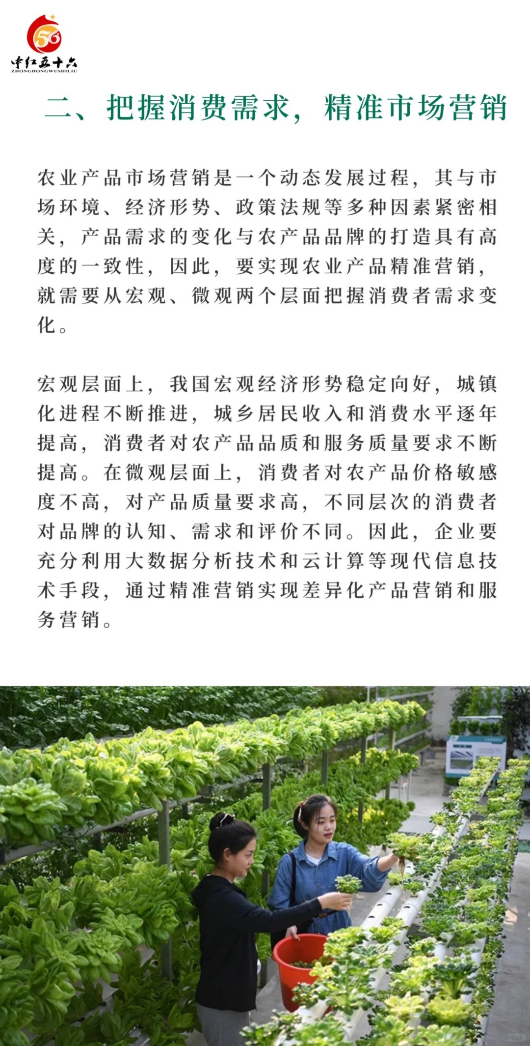 https://static.ixuenong.com/pxn/uploads/prod/thirdfile/2025/02/40152cff7341dbce4c49bfb9e783425f.jpg