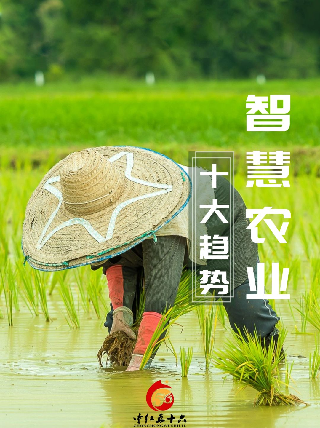 https://static.ixuenong.com/pxn/uploads/prod/thirdfile/2025/02/41bbec0ffdd51cc7b660cd7ddca42131.jpg