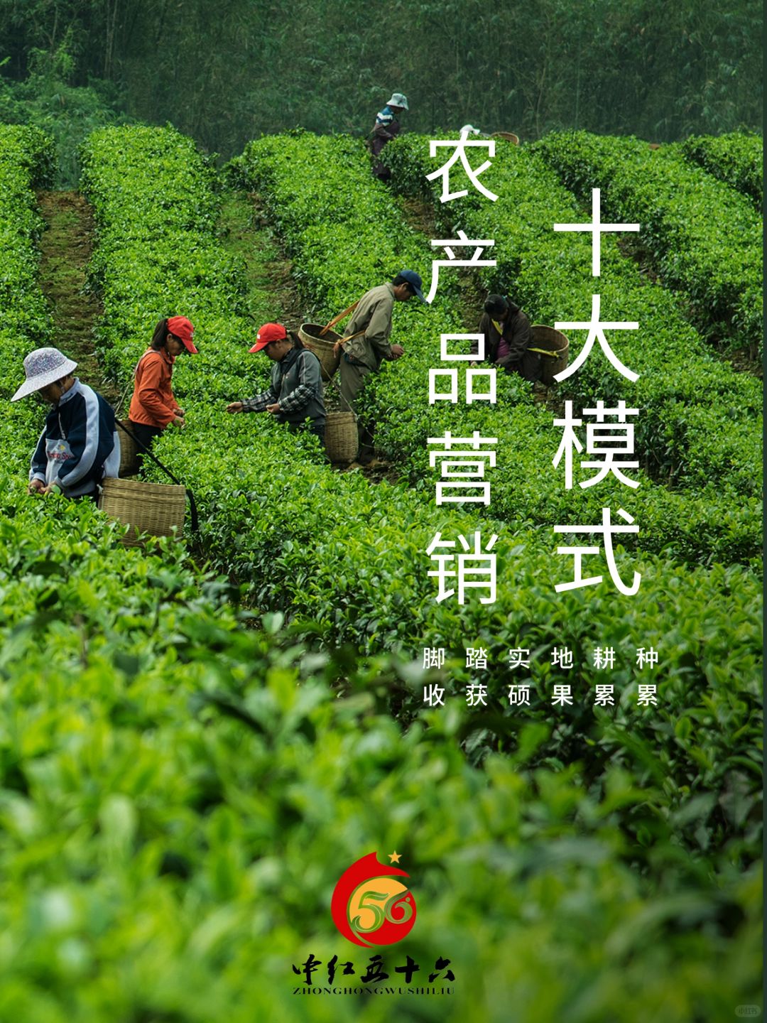 https://static.ixuenong.com/pxn/uploads/prod/thirdfile/2025/02/4e1bffa05ae055e301a22bcc10804b46.jpg