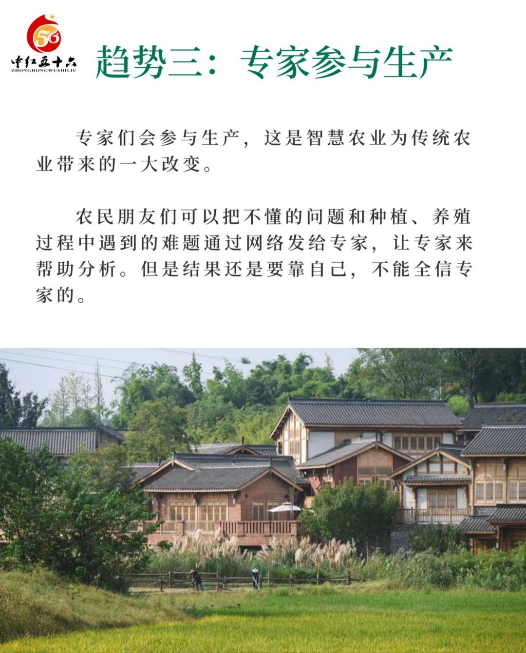 https://static.ixuenong.com/pxn/uploads/prod/thirdfile/2025/02/4fd6b3b651499c78fcecb30ecf8acd6d.jpg