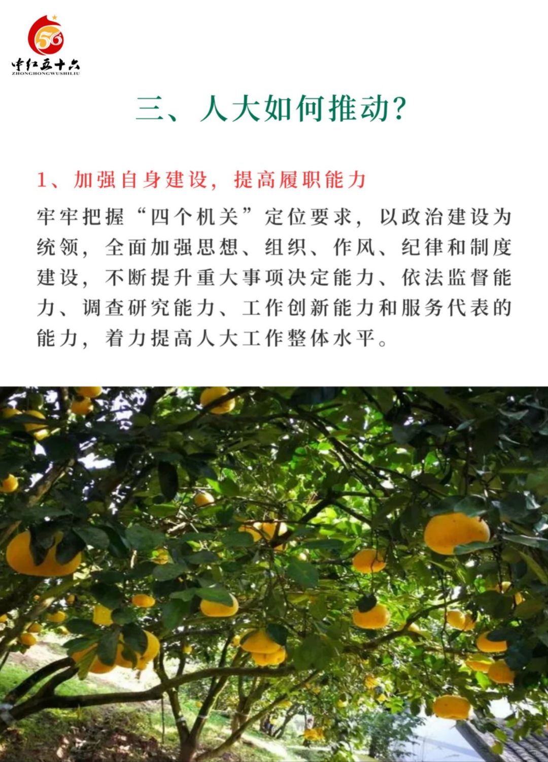 https://static.ixuenong.com/pxn/uploads/prod/thirdfile/2025/02/6ab64b712885c03d6a9f96dd8d4a257c.jpg