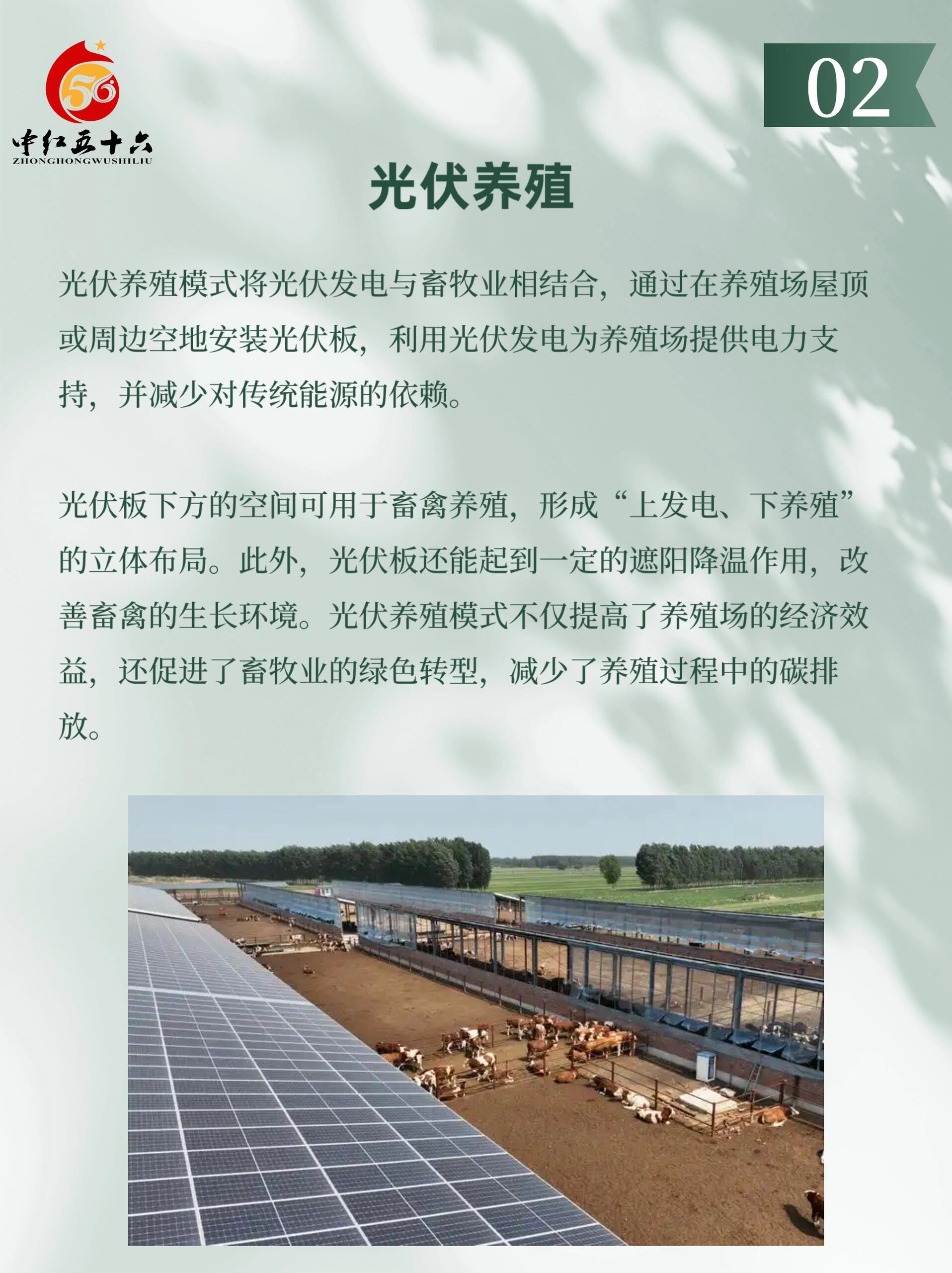 https://static.ixuenong.com/pxn/uploads/prod/thirdfile/2025/02/703e446ec199ba1bfaa9e12fa40949d9.jpg