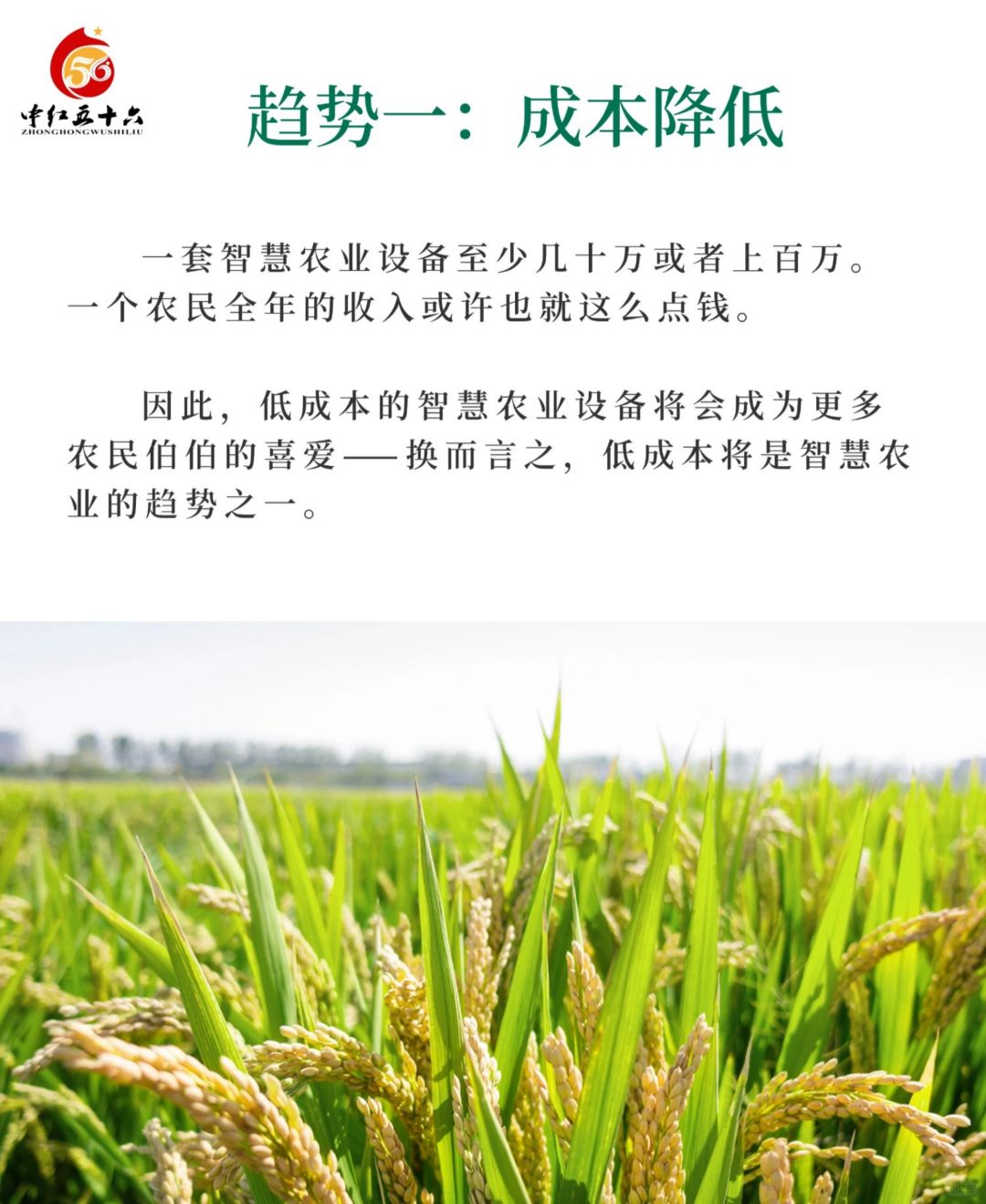 https://static.ixuenong.com/pxn/uploads/prod/thirdfile/2025/02/82d39fc08cb2d023ea1d592ec8fc4bf7.jpg