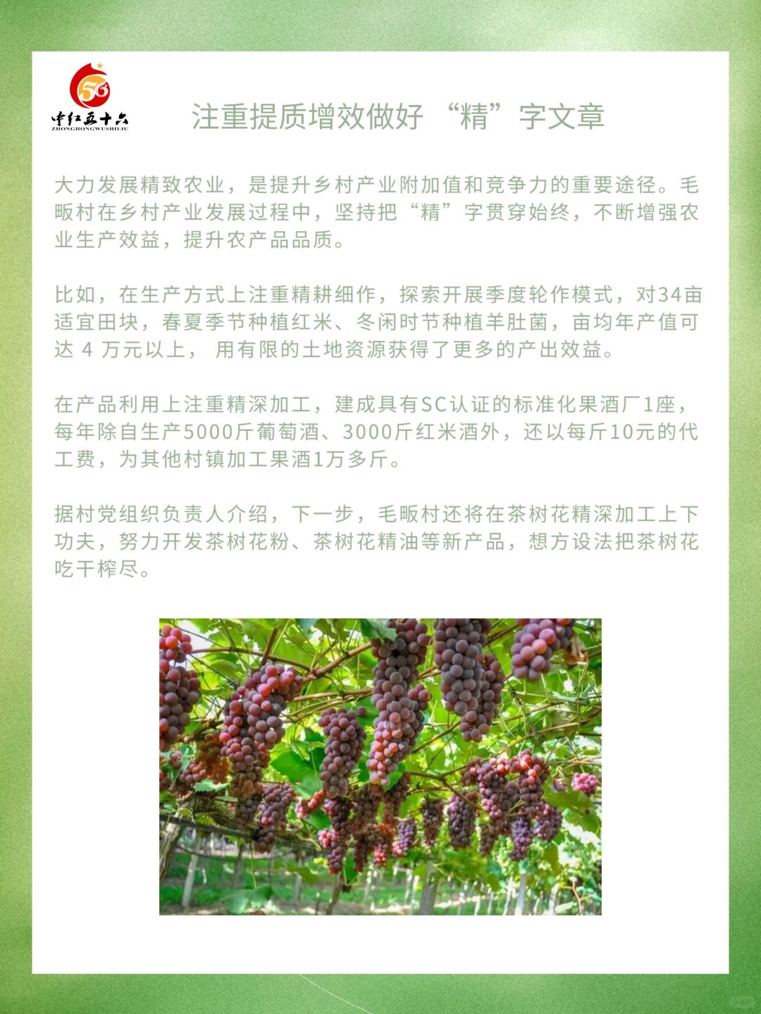 https://static.ixuenong.com/pxn/uploads/prod/thirdfile/2025/02/8950ed4ed82f01c349f3adaccc7e4881.jpg