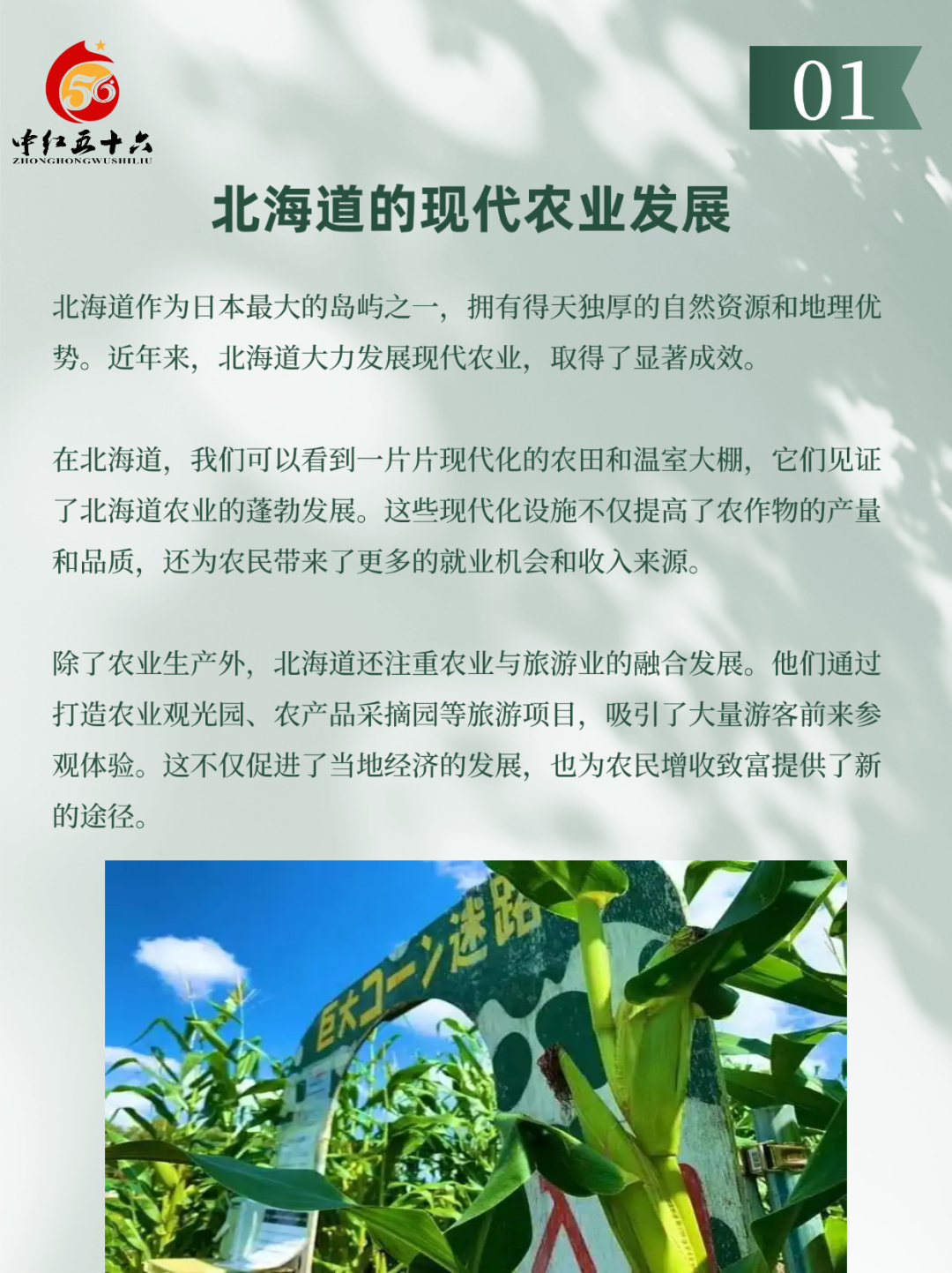 https://static.ixuenong.com/pxn/uploads/prod/thirdfile/2025/02/95d9175b7d110ef9fc1055dafdf631ea.jpg