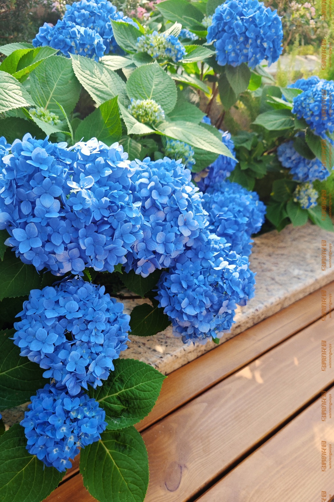 https://static.ixuenong.com/pxn/uploads/prod/thirdfile/2025/02/a4a6cf984e39673e6893a08bb5af9329.jpg