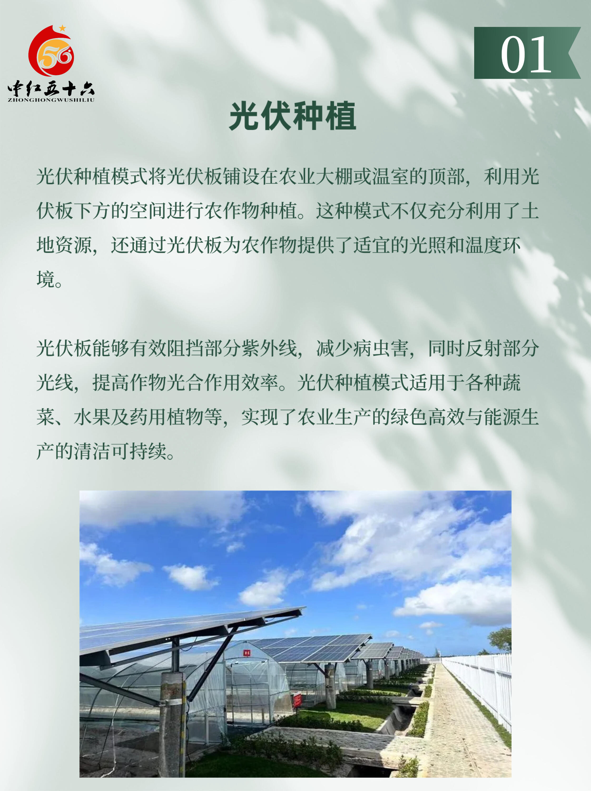 https://static.ixuenong.com/pxn/uploads/prod/thirdfile/2025/02/aa187ba85676fca5b4d7fdd843db6b9a.jpg