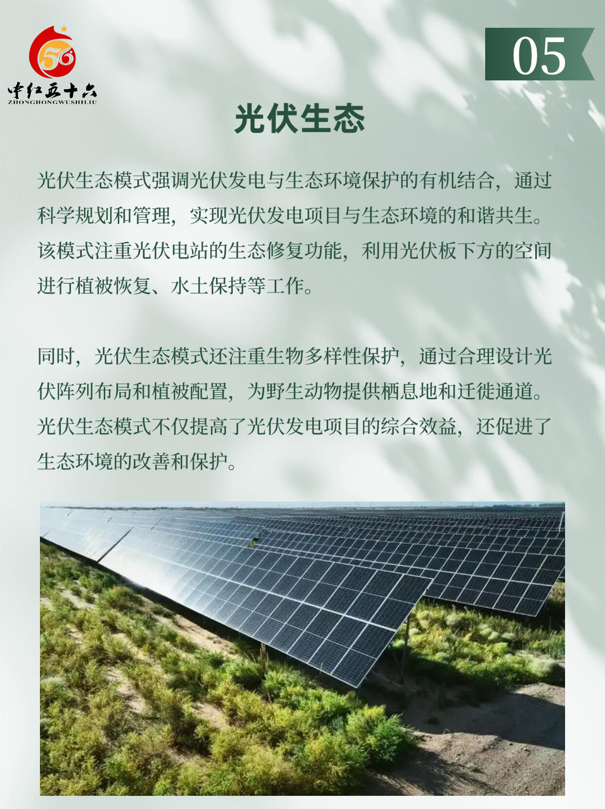 https://static.ixuenong.com/pxn/uploads/prod/thirdfile/2025/02/b2830388a8580ae0a925c9646732f351.jpg