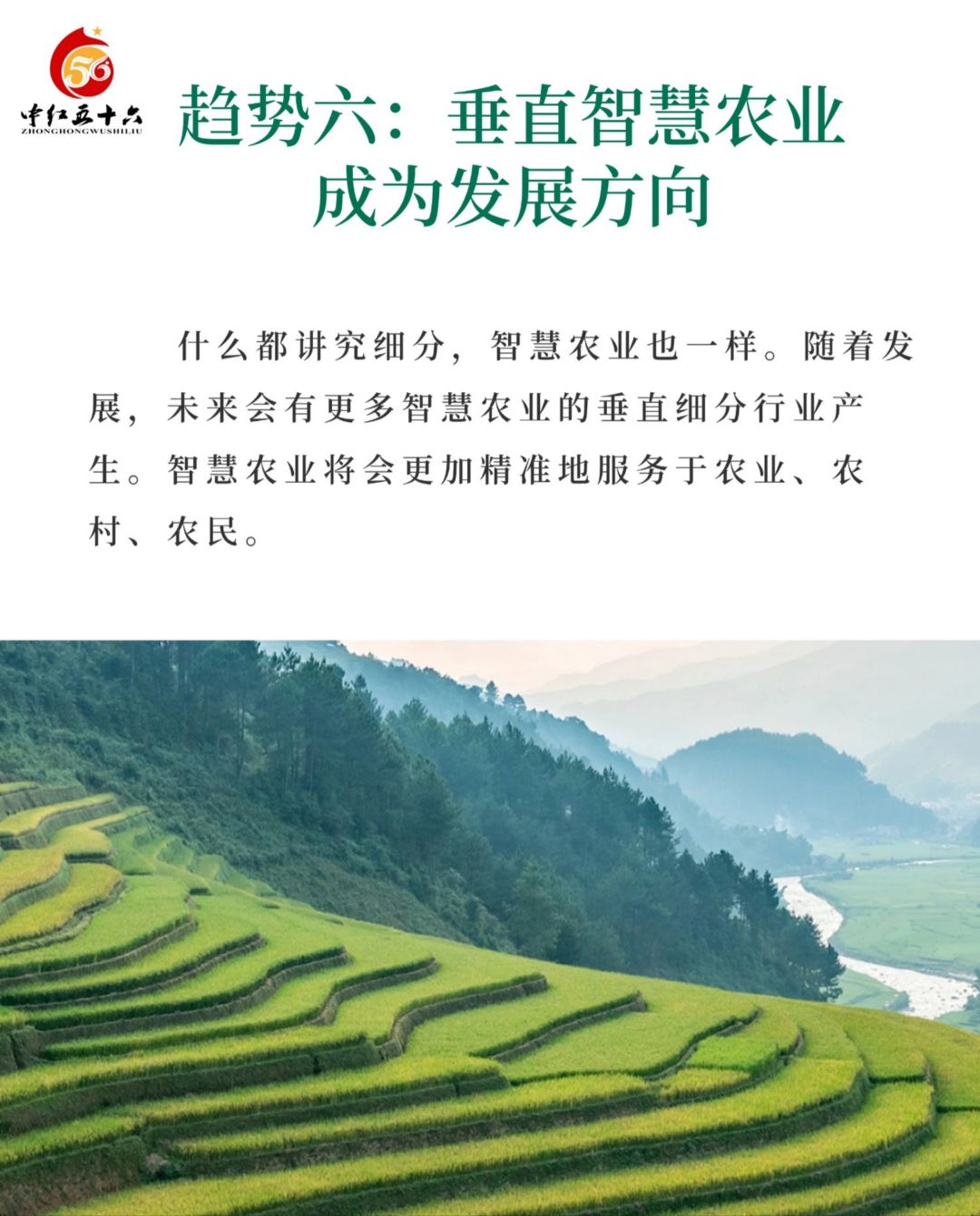 https://static.ixuenong.com/pxn/uploads/prod/thirdfile/2025/02/bf9e542011071f40565113ea5502004c.jpg