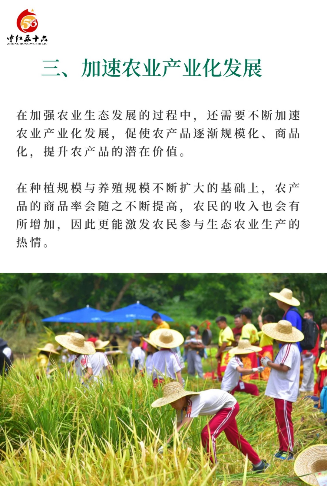 https://static.ixuenong.com/pxn/uploads/prod/thirdfile/2025/02/c43bf2ddf8dd4297e238ecea979cc5f3.jpg
