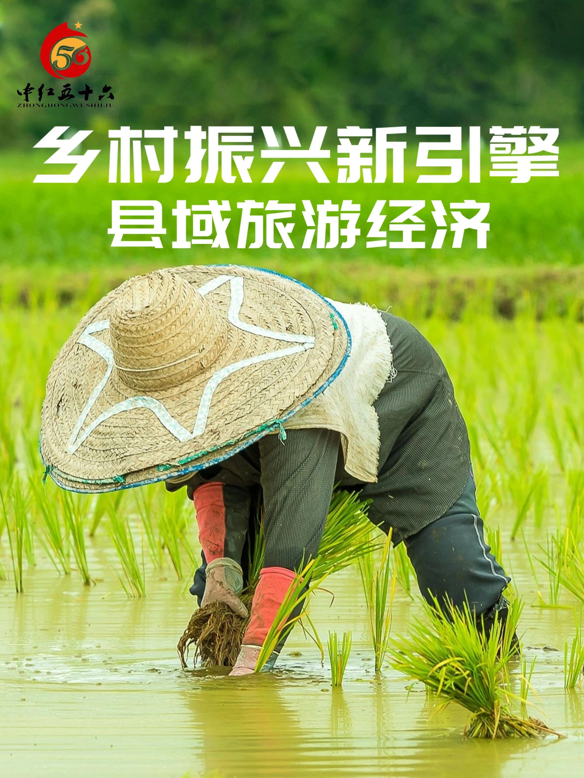 https://static.ixuenong.com/pxn/uploads/prod/thirdfile/2025/02/ca446342de4120d5794b5fe1b805429e.jpg