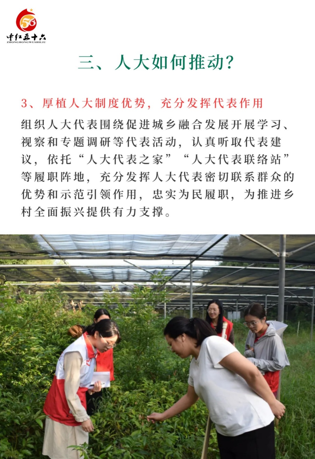 https://static.ixuenong.com/pxn/uploads/prod/thirdfile/2025/02/d1b131d69fccc3fd00ffa516da239248.jpg
