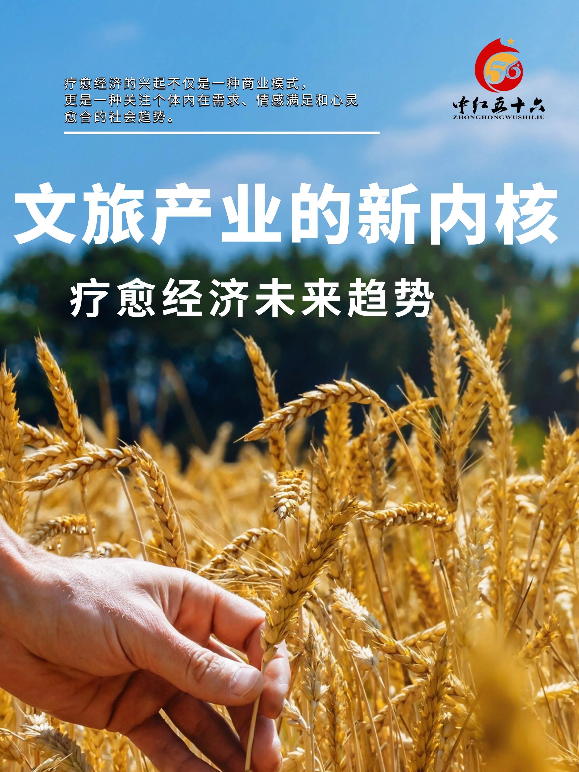 https://static.ixuenong.com/pxn/uploads/prod/thirdfile/2025/02/d309758b940b2de9da7fb63814f8c7eb.jpg