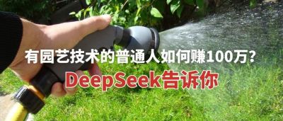 ԰յͨ?DeepSeekյף