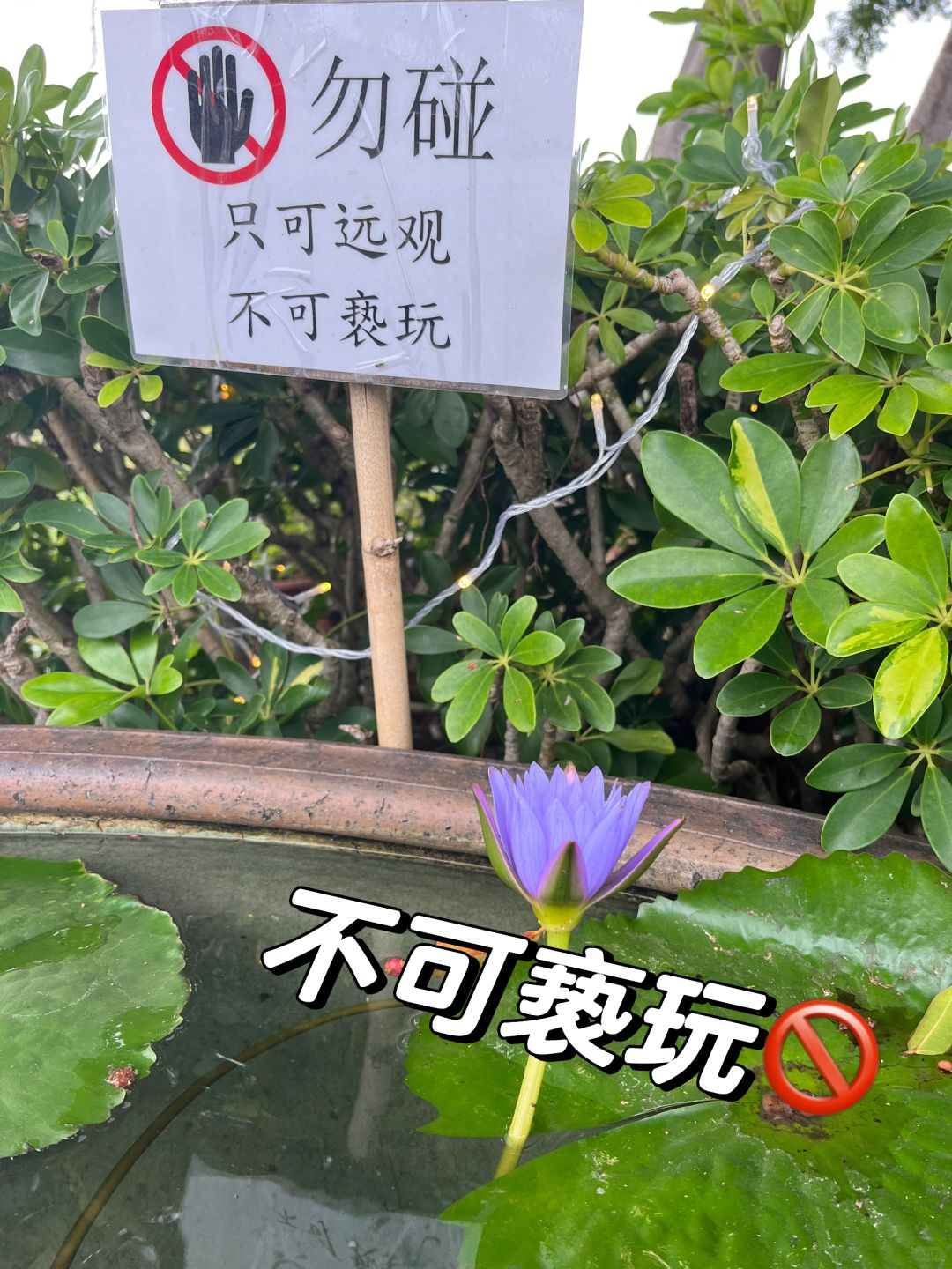 https://static.ixuenong.com/pxn/uploads/prod/thirdfile/2025/02/dda458c0d3fb4db46aa585e79250b1d9.jpg