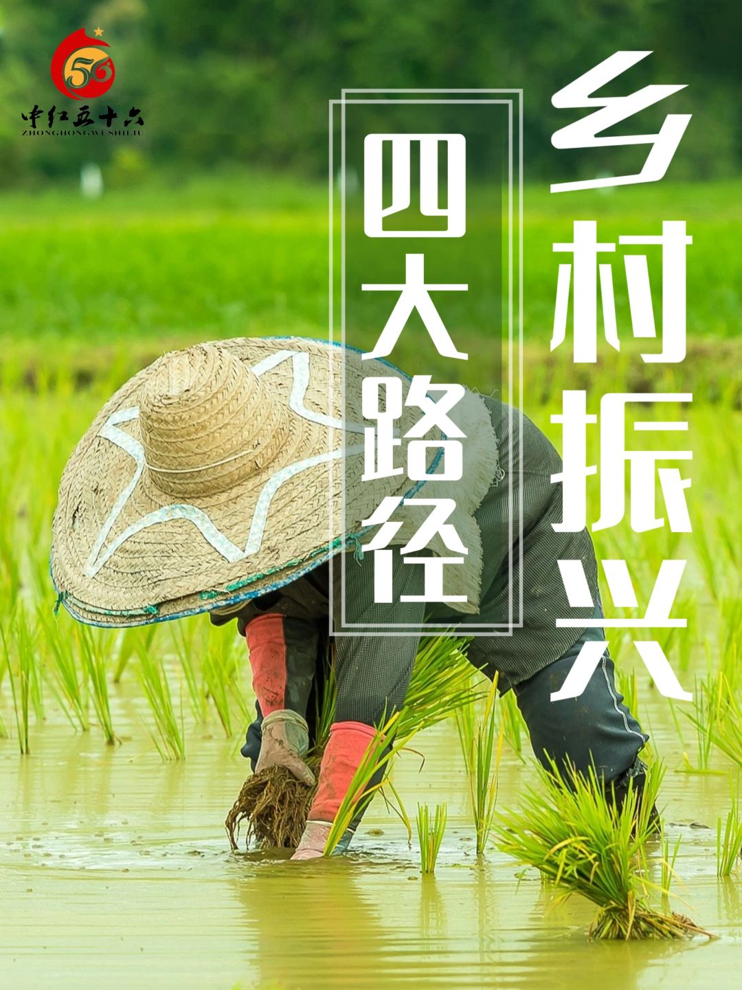 https://static.ixuenong.com/pxn/uploads/prod/thirdfile/2025/02/e31416135221f8b8a6d91b5f3441001a.jpg