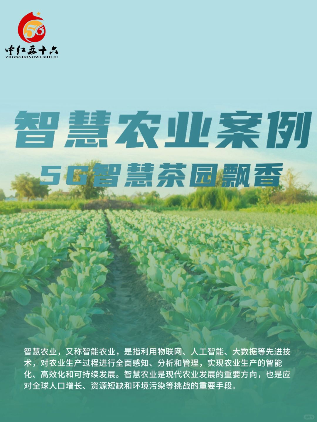 https://static.ixuenong.com/pxn/uploads/prod/thirdfile/2025/02/eaa572d84d9f1a479f2f1ed975211d7e.jpg