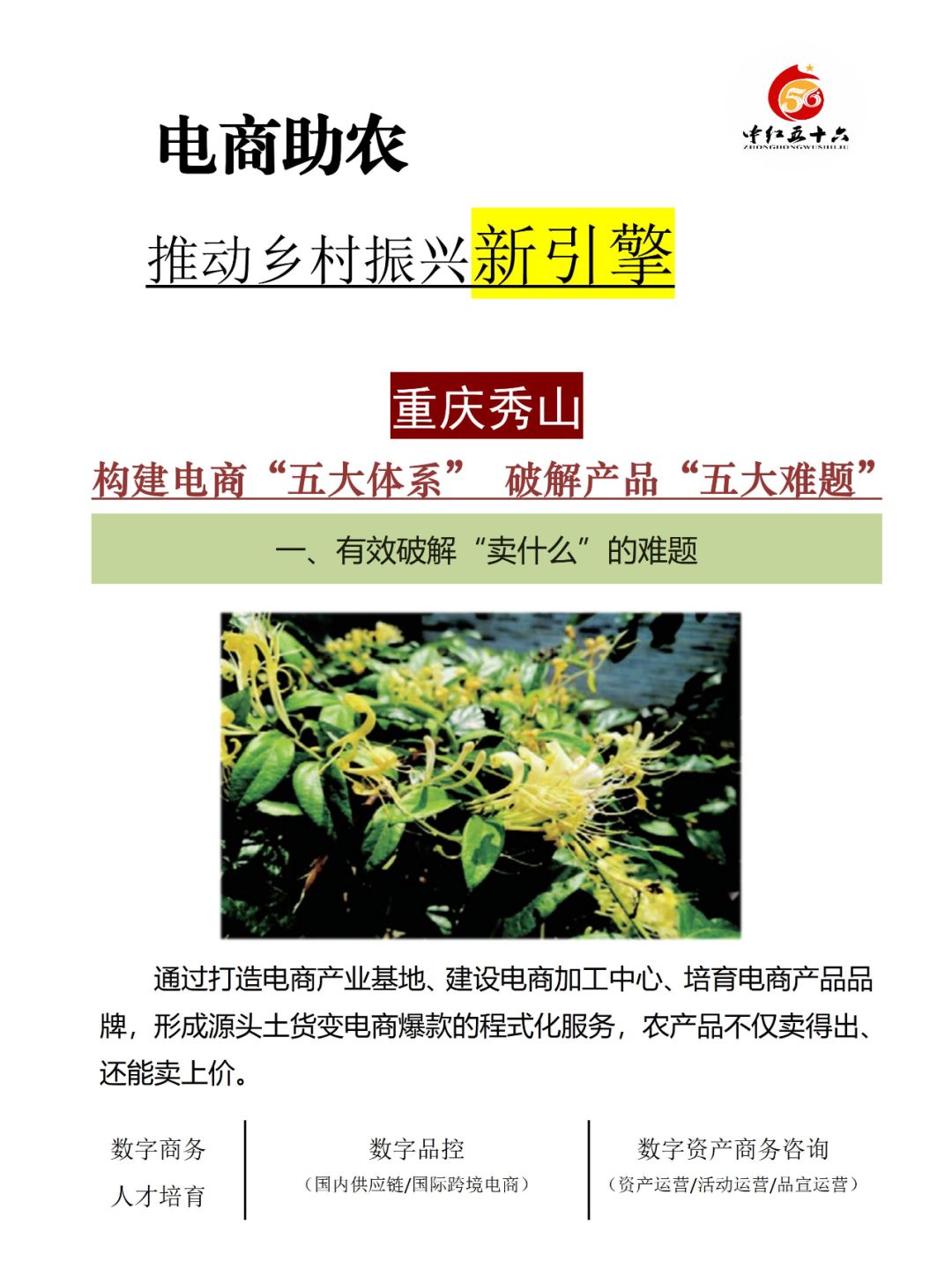 https://static.ixuenong.com/pxn/uploads/prod/thirdfile/2025/02/fb01ea760ab11d3ec35bde4aba9f791a.jpg