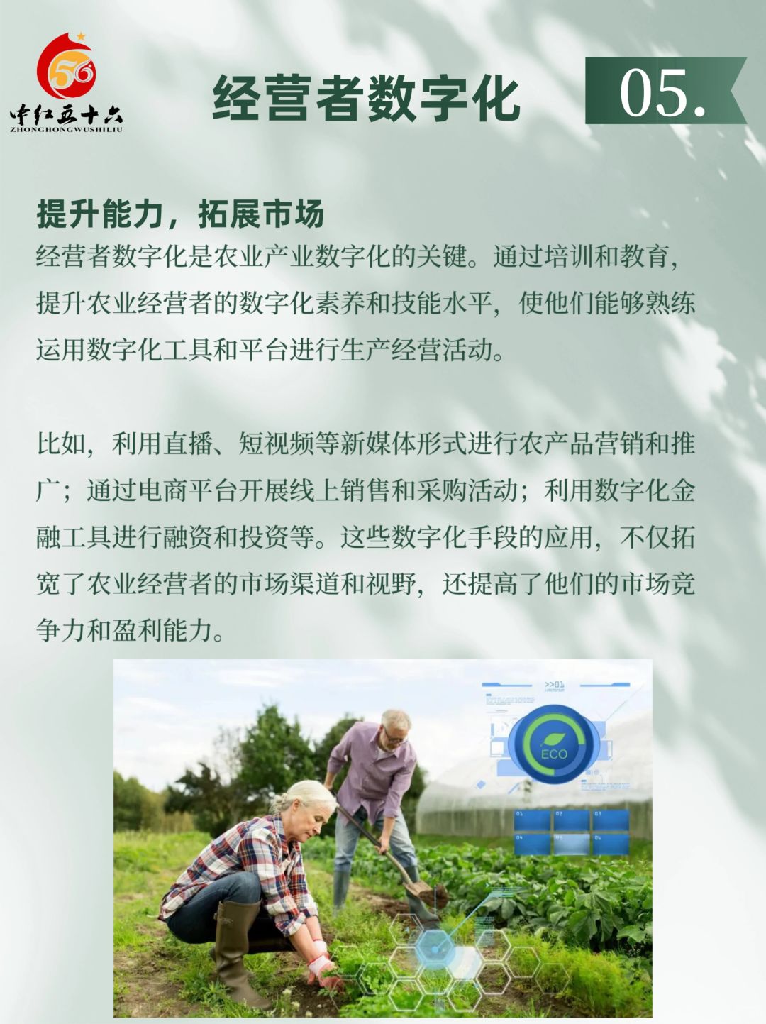 https://static.ixuenong.com/pxn/uploads/prod/thirdfile/2025/02/fb483533786dee25a5f9e16870b9efd5.jpg