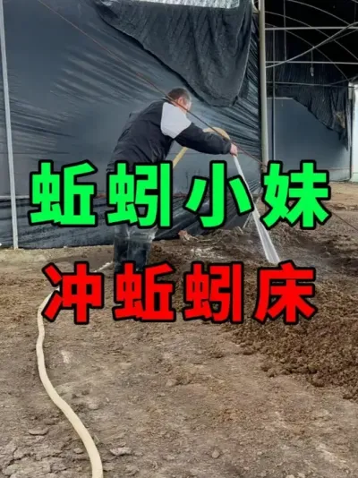 ȴóͷ򾴲óͷ֮Է #ֳ #ũ #ũ崴ҵ