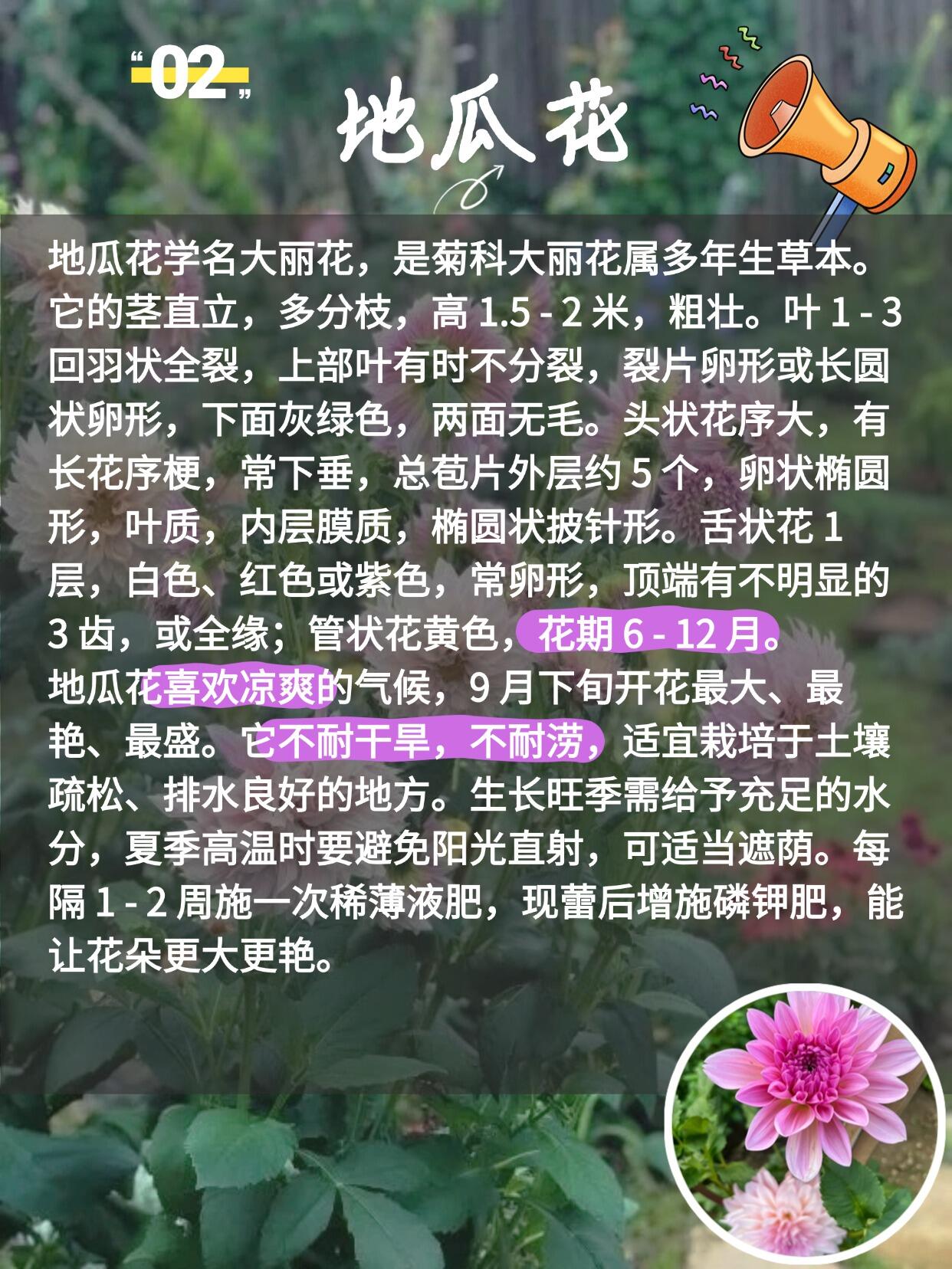 https://static.ixuenong.com/pxn/uploads/prod/thirdfile/2025/03/187c9d58eb0377fca3d551af8676c379.jpg