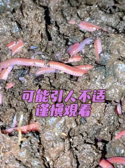 ºˮ¶ #ֳ