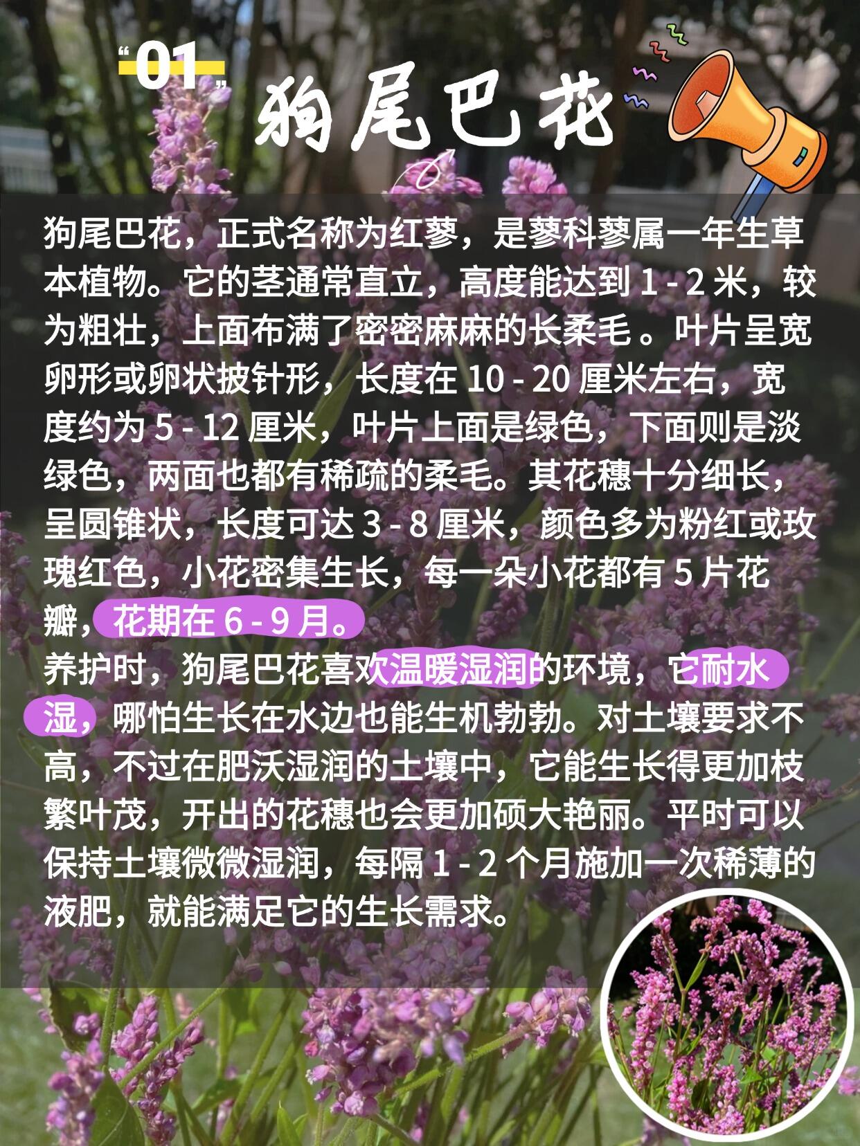 https://static.ixuenong.com/pxn/uploads/prod/thirdfile/2025/03/3fb8d9691a0d7d39730525bd8045d1ff.jpg