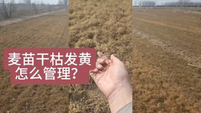緢ơɿʲôʱ佽ˮ׷һҪע 